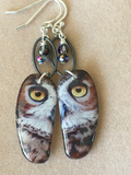 Hoo Owl (discounted)